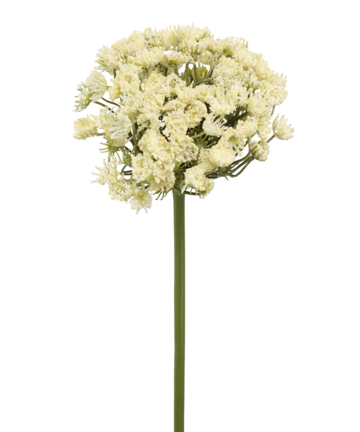 Grand daucus artificiel blanc