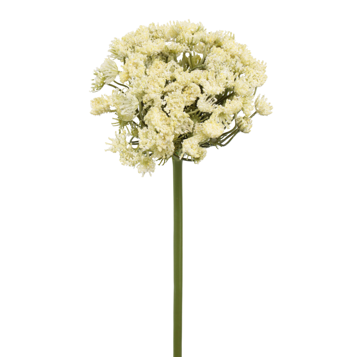 Grand daucus artificiel blanc