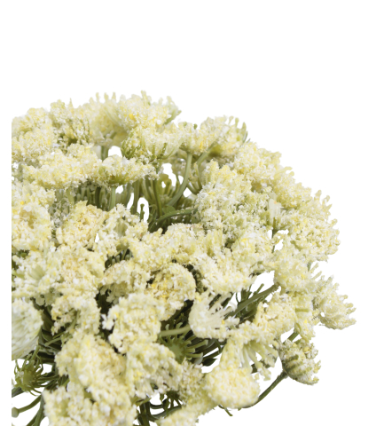 Grand daucus artificiel blanc