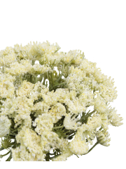 Grand daucus artificiel blanc