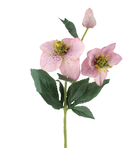 Hellébore rose artificielle