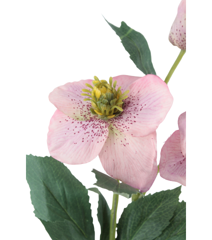 Hellébore rose artificielle