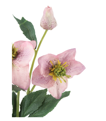 Hellébore rose artificielle
