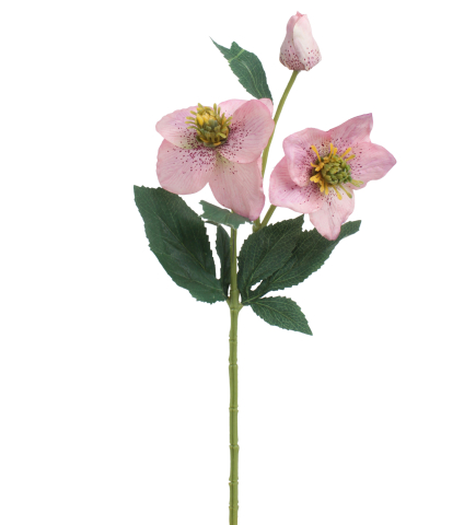 Hellébore rose artificielle