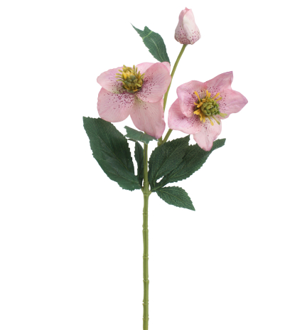 Hellébore rose artificielle