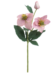 Hellébore rose artificielle