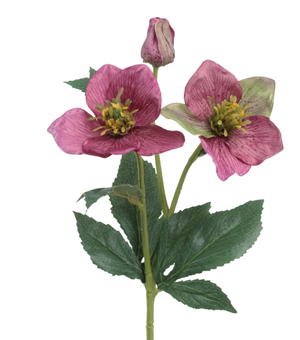 Hellébore rose fuchsia artificielle