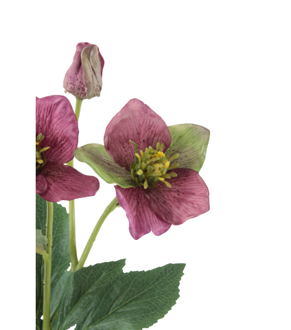 Hellébore rose fuchsia artificielle
