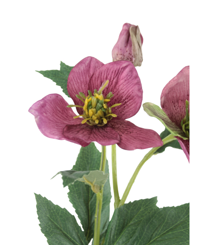 Hellébore rose fuchsia artificielle