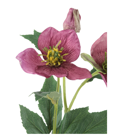 Hellébore rose fuchsia artificielle