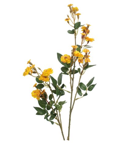 Rose sauvage artificielle jaune