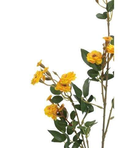 Rose sauvage artificielle jaune