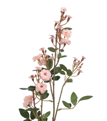 Rose sauvage artificielle