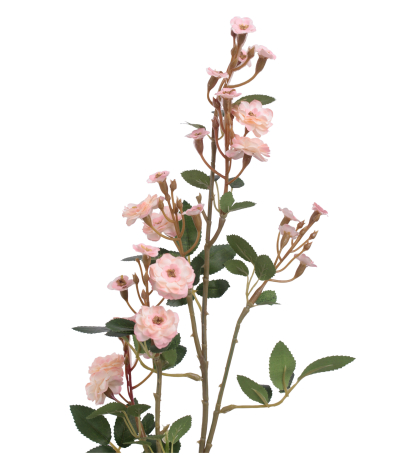 Rose sauvage artificielle