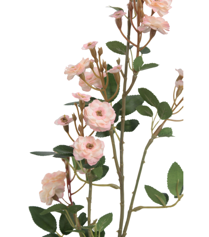 Rose sauvage artificielle