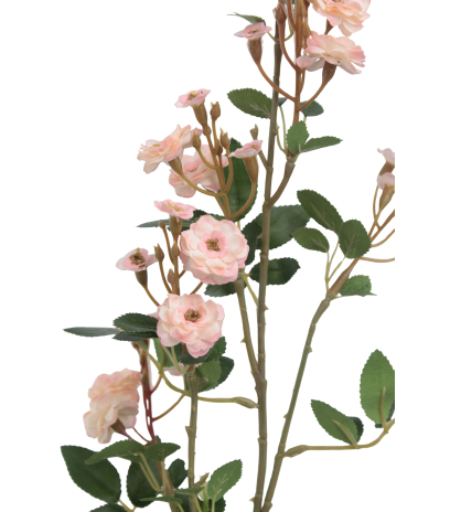 Rose sauvage artificielle