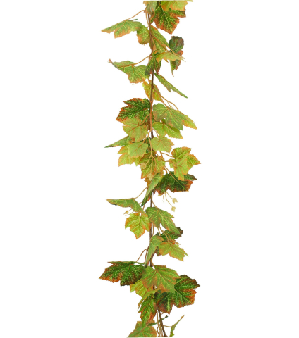 Guirlande de vigne panachée