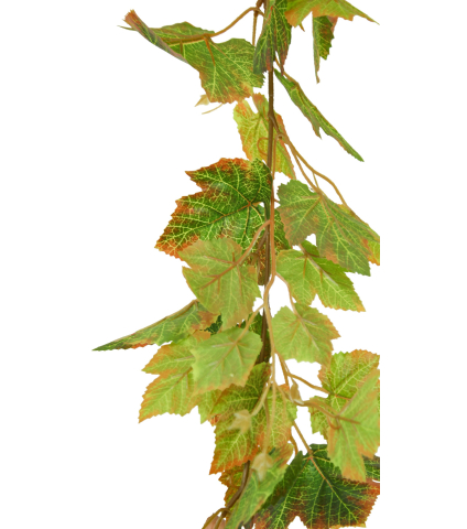 Guirlande de vigne panachée