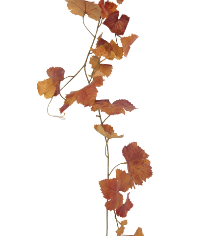 Grande guirlande de vigne automnale