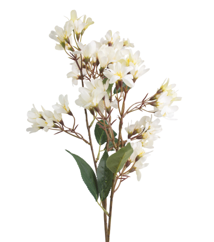 Hohéria blanche artificielle