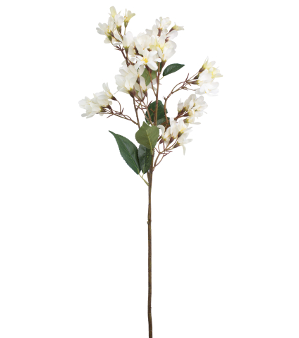 Hohéria blanche artificielle