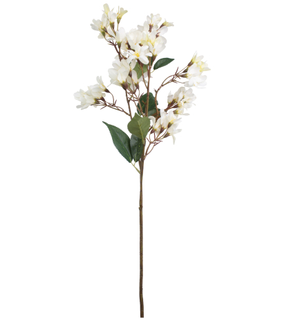 Hohéria blanche artificielle