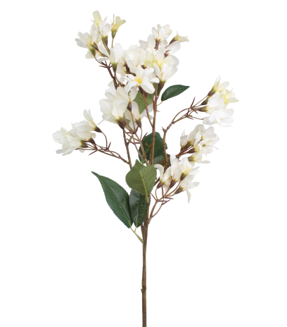 Hohéria blanche artificielle