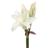 Amaryllis belladonna artificielle