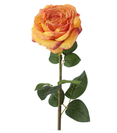 Rose artificielle Marjorie