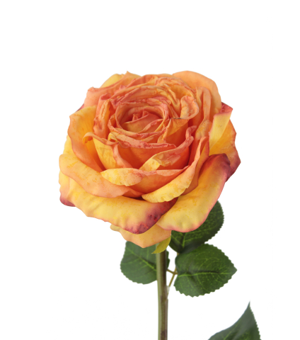 Rose artificielle Marjorie