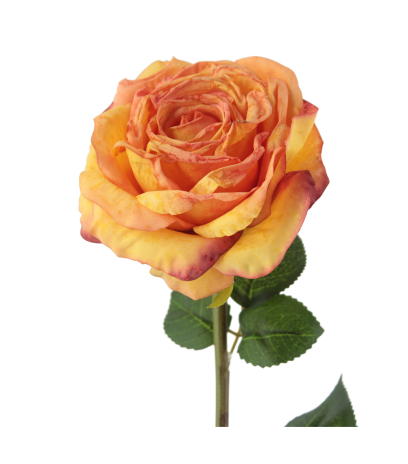 Rose artificielle Marjorie