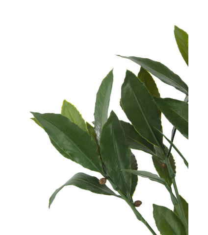 Branche de laurier artificiel extérieur