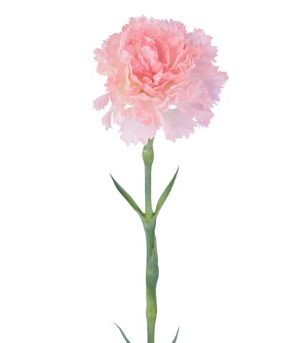 Tige d'œillet artificiel rose