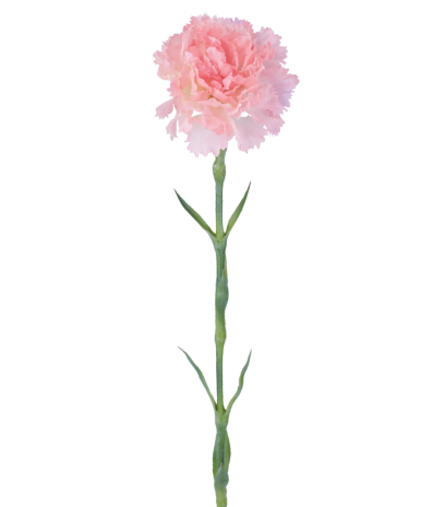 Tige d'œillet artificiel rose