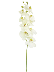 Phalaenopsis artificiel blanc