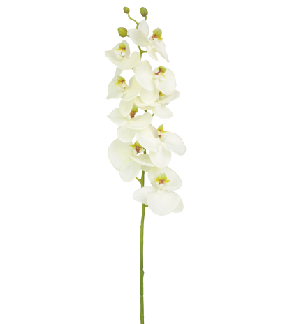 Phalaenopsis artificiel blanc