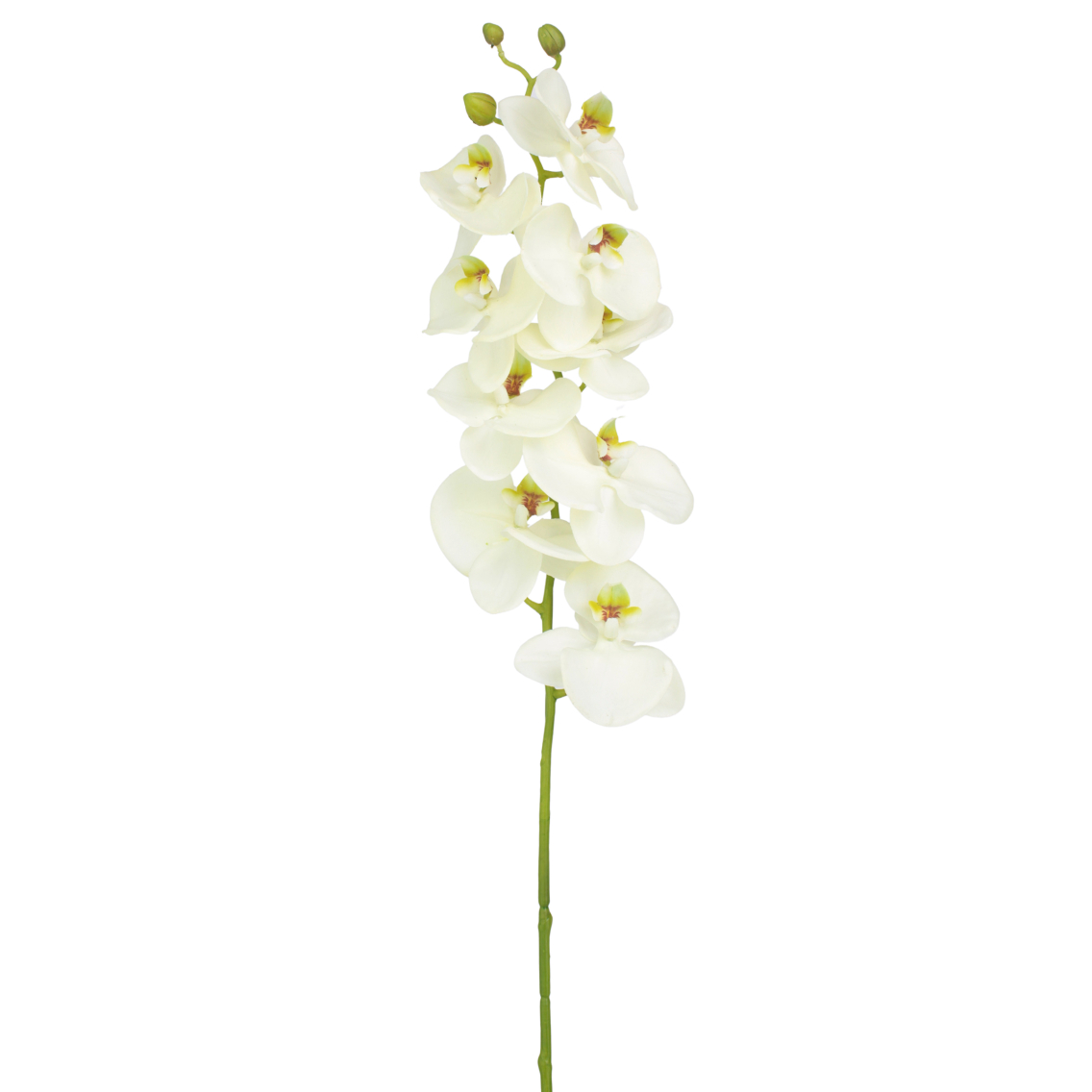 Phalaenopsis artificiel blanc