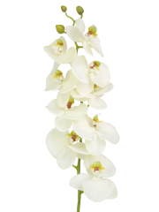 Phalaenopsis artificiel blanc