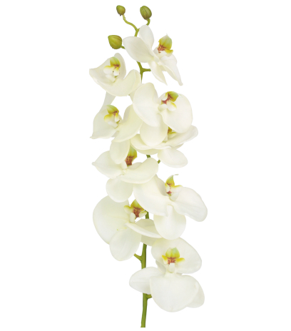 Phalaenopsis artificiel blanc