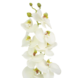 Phalaenopsis artificiel blanc