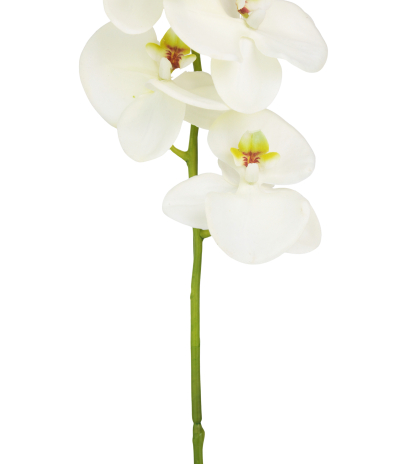 Phalaenopsis artificiel blanc