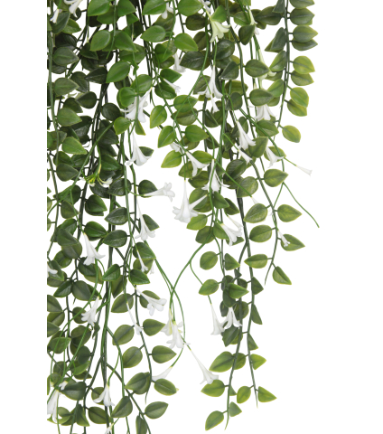 Chute de dischidia artificielle fleurie