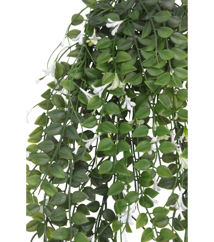 Chute de dischidia artificielle fleurie