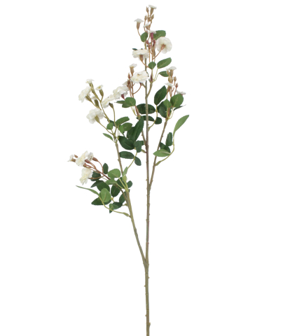 Rose sauvage artificielle blanche