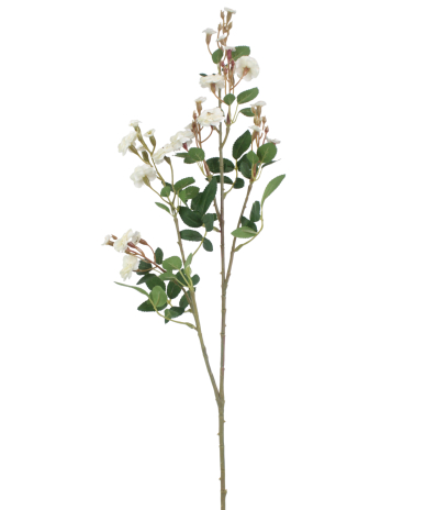 Rose sauvage artificielle blanche