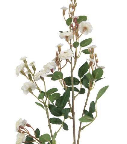 Rose sauvage artificielle blanche