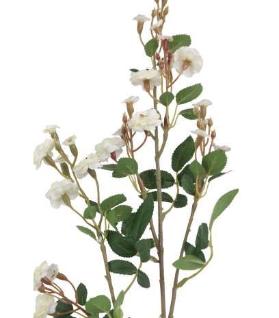 Rose sauvage artificielle blanche