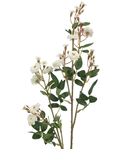 Rose sauvage artificielle blanche