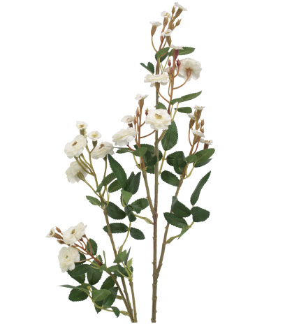 Rose sauvage artificielle blanche