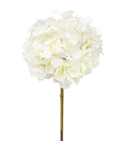 Tête d'hortensia artificielle blanche